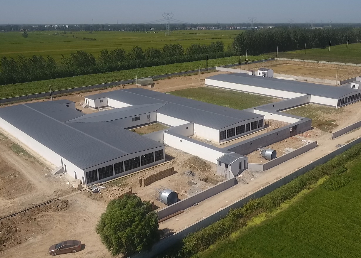 亚博亚Antibio系统-灌云公猪站空气过滤