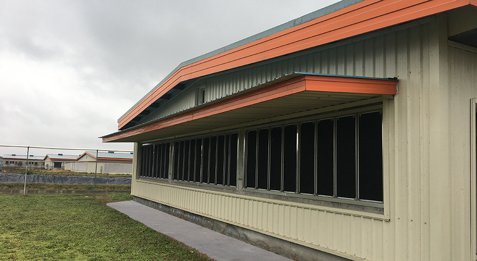 改造后的上海祥欣公猪站外侧挡沙网过滤墙。