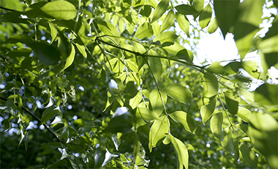 亚博亚学堂即将启幕