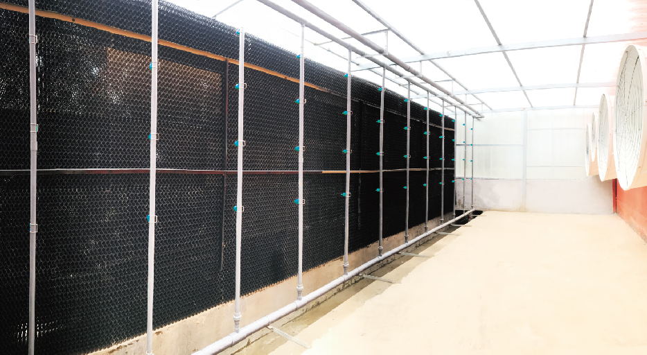 楼房养猪空气过滤系统+除臭系统一体化解决方案 （除臭系统）