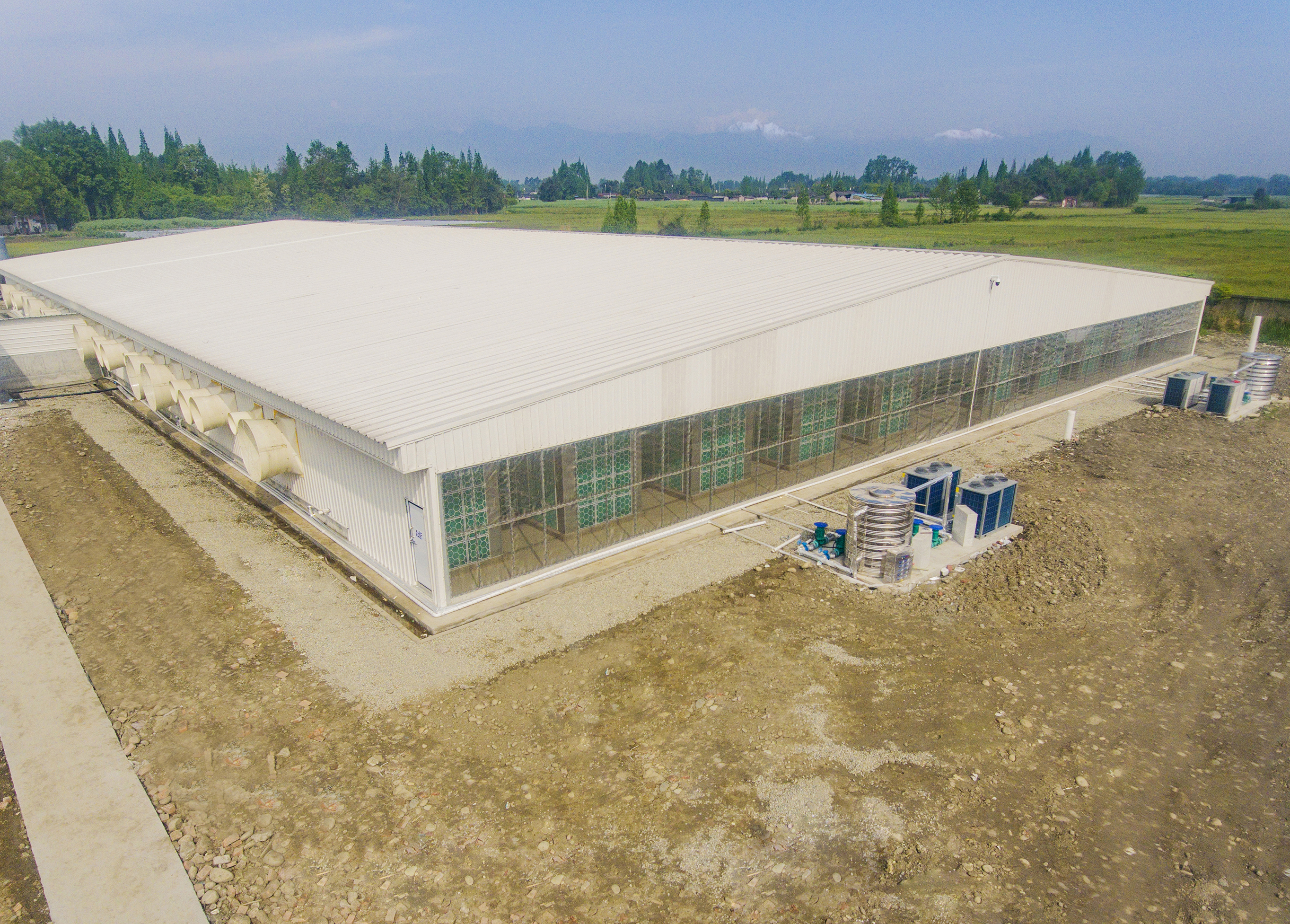 猪场空气过滤（亚博亚Antibio系统—巨星农牧观胜育种场项目）